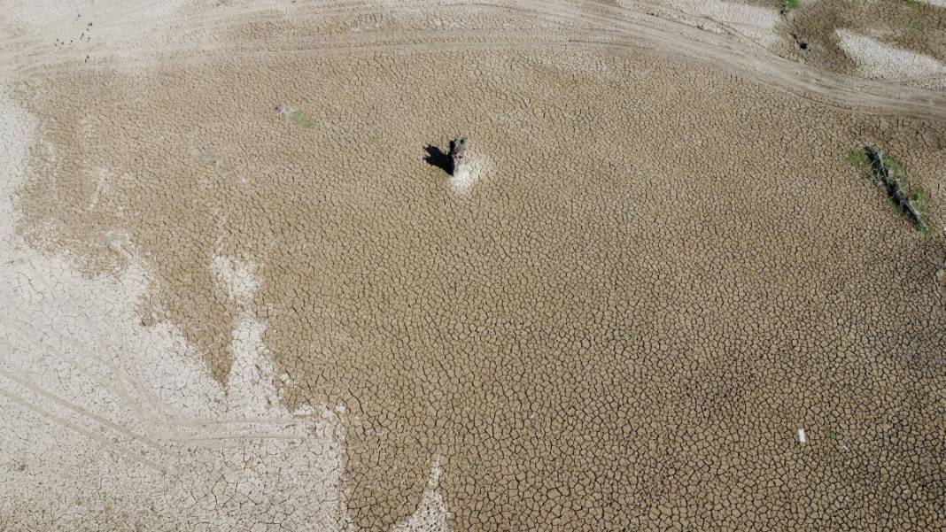 Binlerce hektar 'Mil kuraklığı' etkisinde: Tarım alanı ve meralar yok olmaya yüz tuttu 5